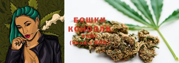 PSILOCYBIN Майский
