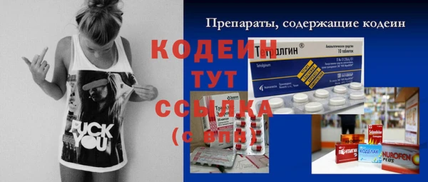 шишки Магас