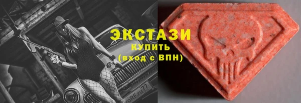 шишки Магас