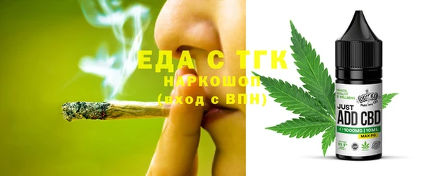 шишки Магас