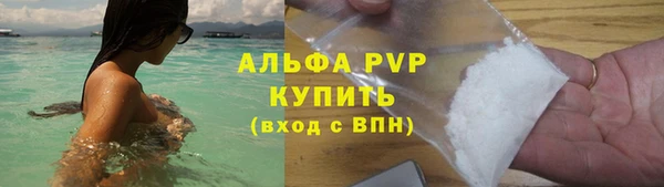 PSILOCYBIN Майский