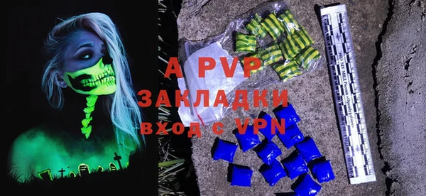 шишки Магас
