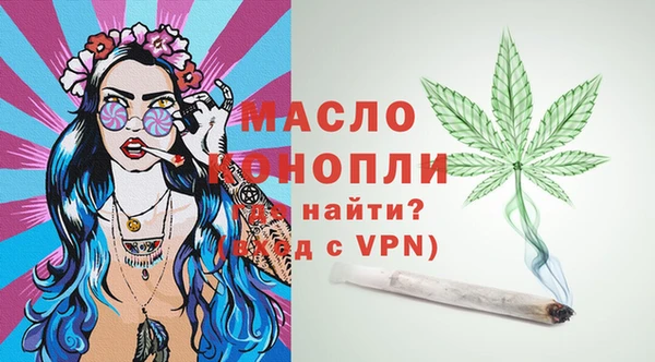 шишки Магас