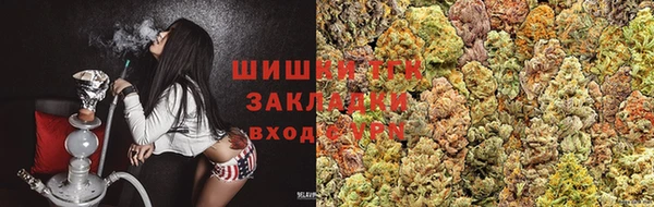 PSILOCYBIN Майский