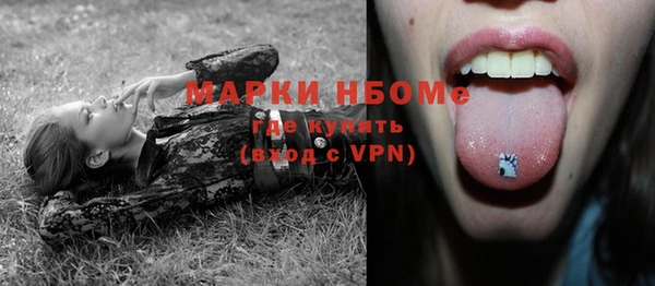 прущие грибы Лихославль
