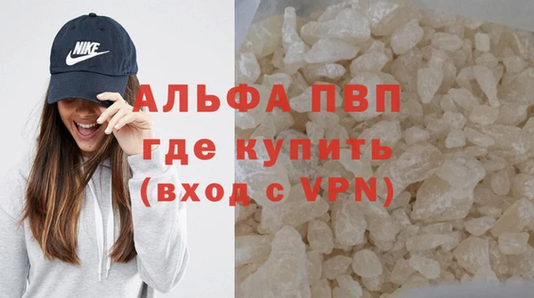 PSILOCYBIN Майский