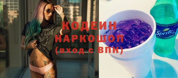шишки Магас