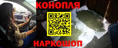 индика Аргун