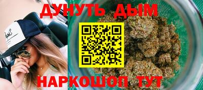 дживик Камышлов