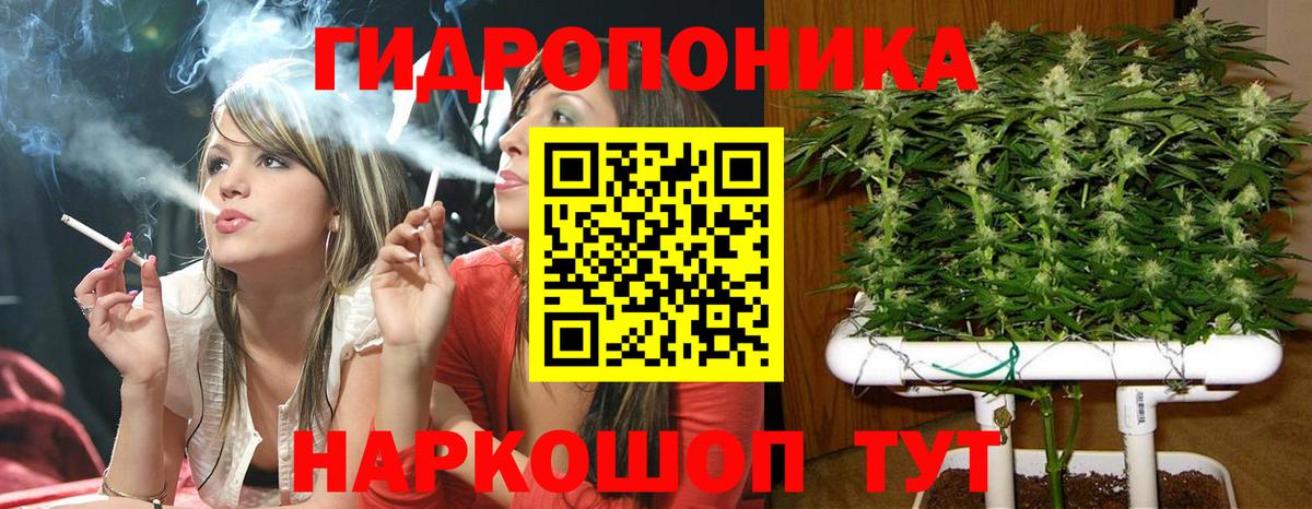 Шишки марихуана Bruce Banner  Урай  Конопля ГИДРОПОН  Марихуана Ganja  Каннабис гибрид 